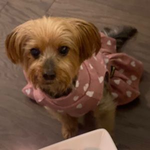 Meet your Posher, Bianca